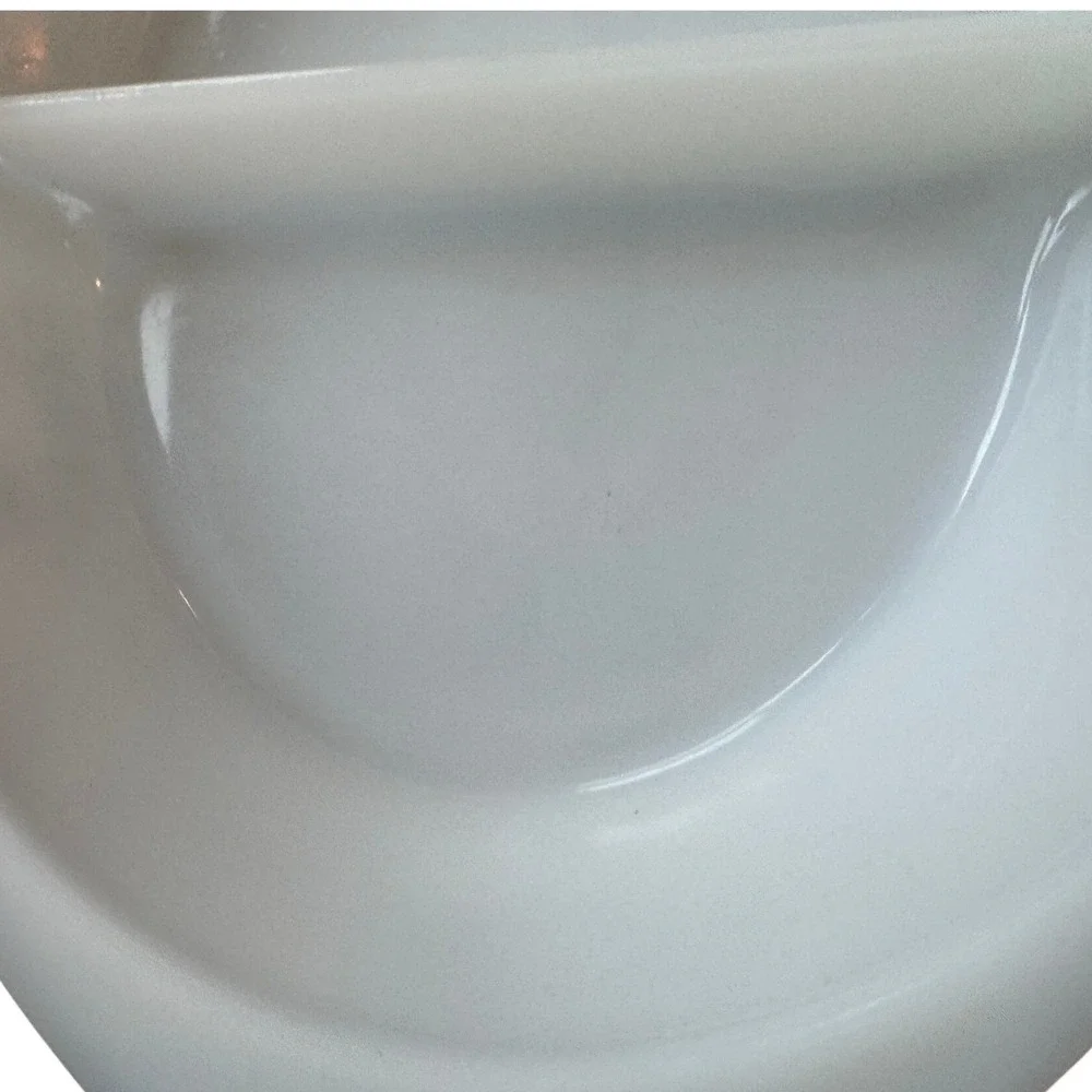 Glasbake Vintage White Milk Glass Divided‎ Serving Dish Green Floral Pattern